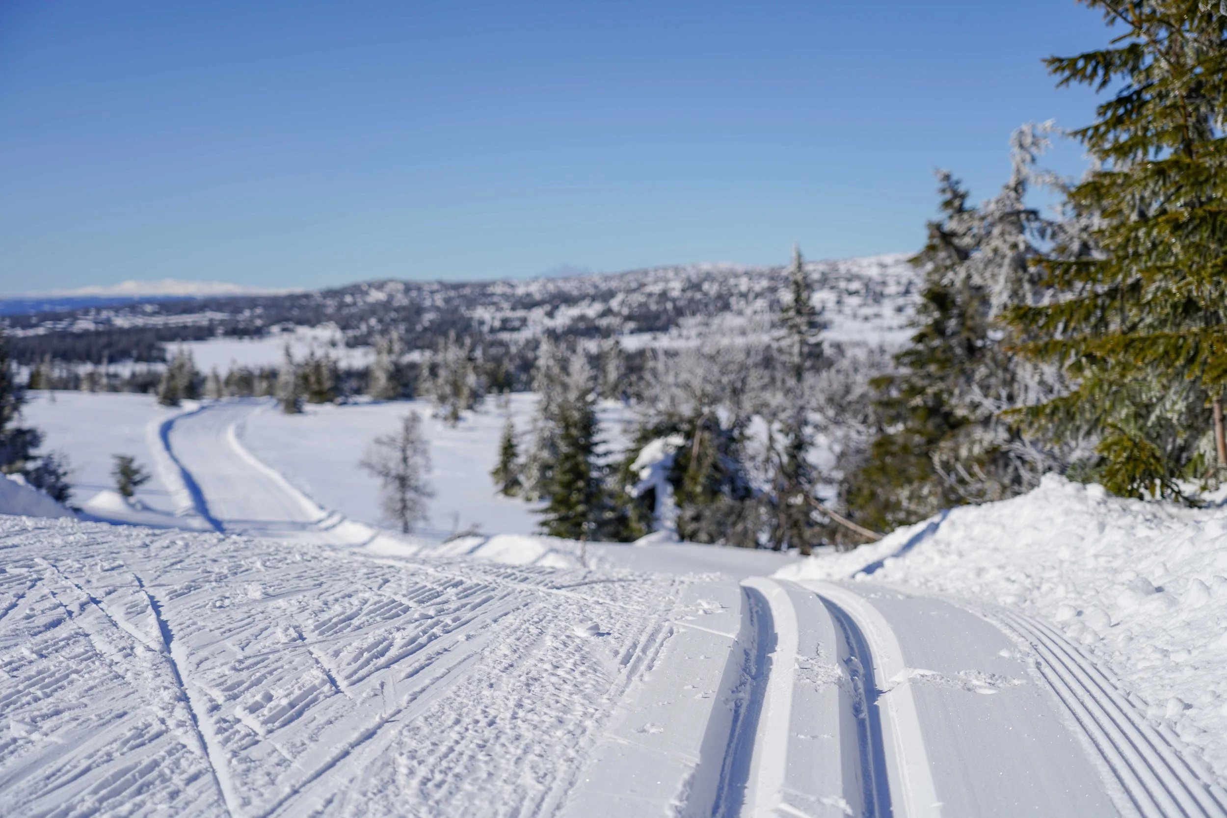 Norway - Holmenkollen — Lumi Experiences